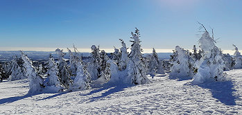 Winteridylle auf dem höchsten Harz-Gipfel